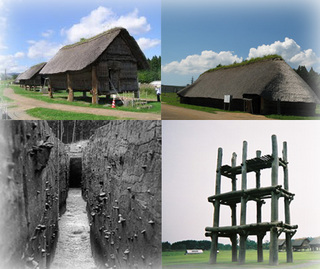sannaimaruyama.jpg